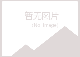 伊春西林盼山化学有限公司